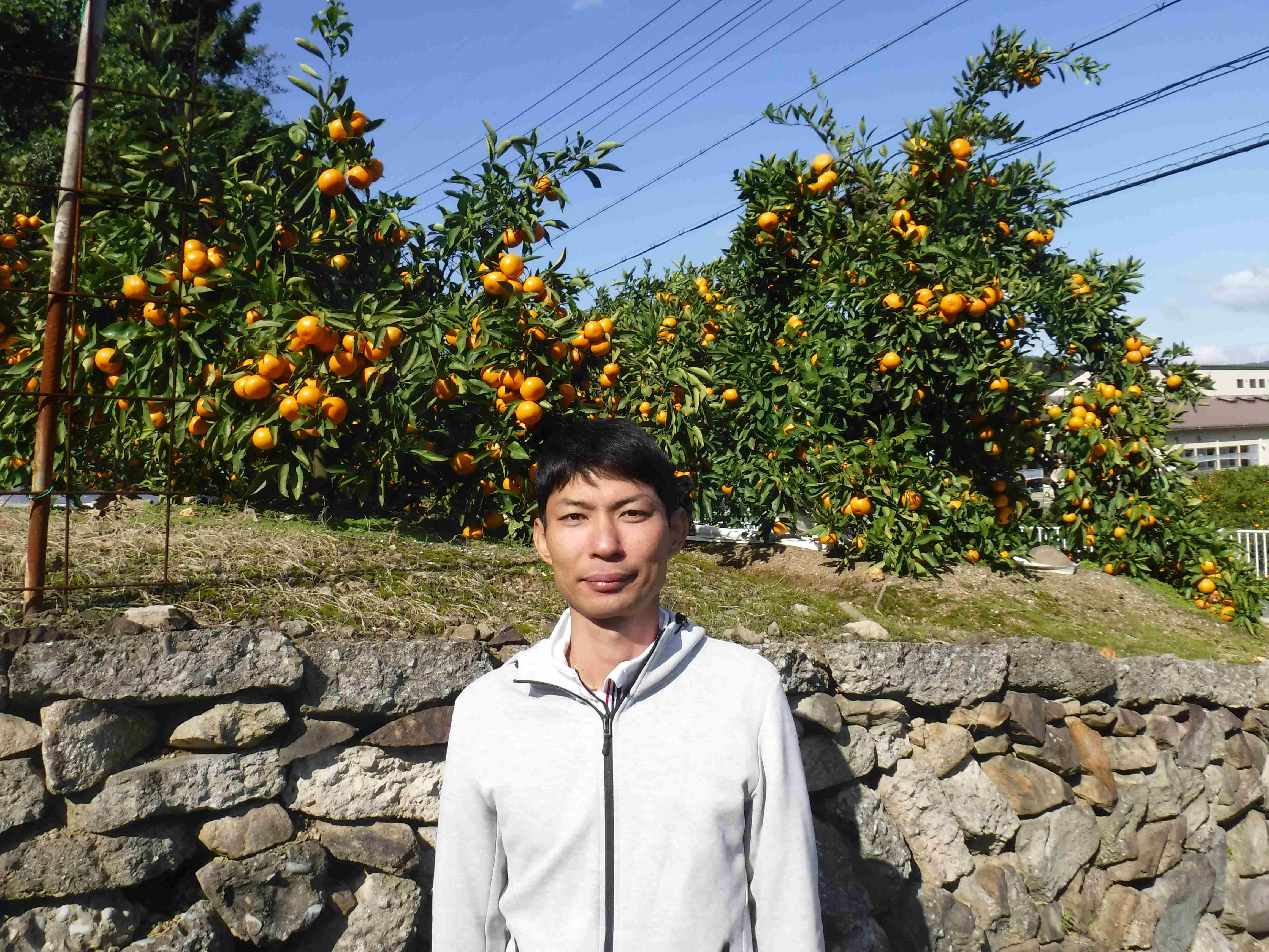 山田みかん生産者9