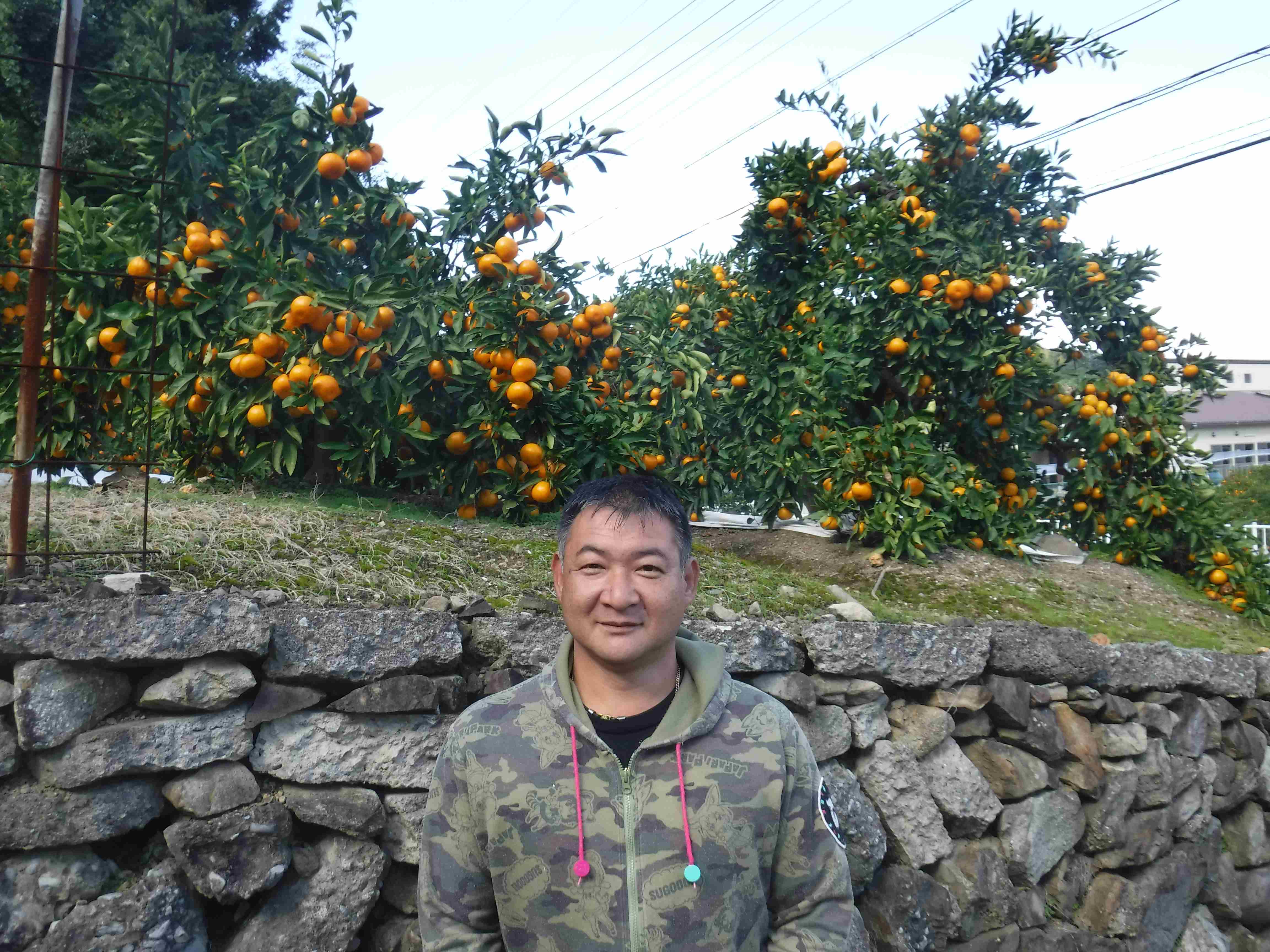 山田みかん生産者8
