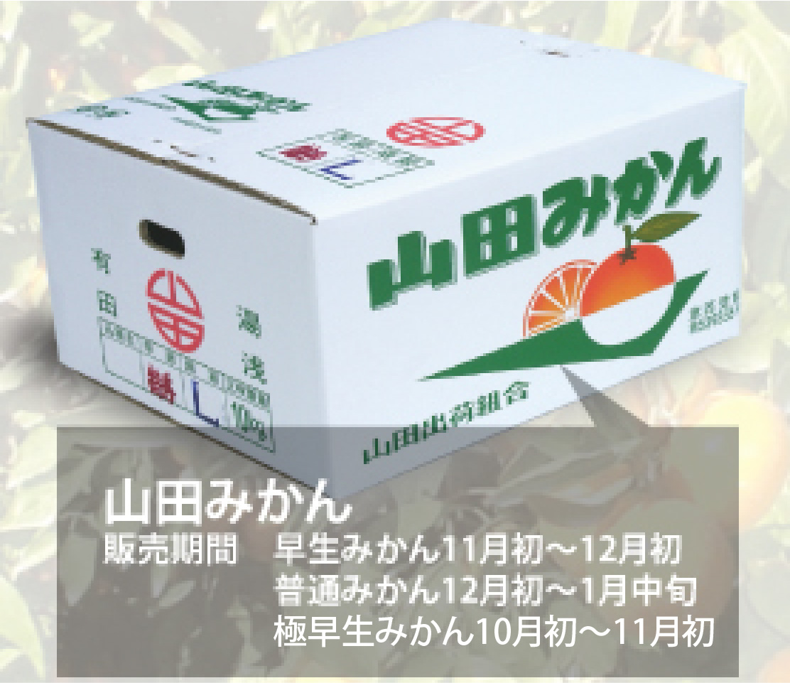 Rc݂